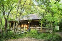 Log Cabin Rental at Edith L. Moore Nature Sanctuary 202//135